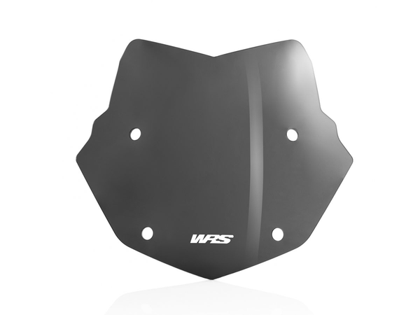 Wscrn Enduro R1250Gs Dsmk | 8185238651146