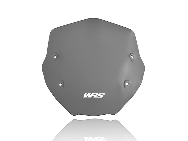 Wscrn Sport R1250R Dsmk | 8185250906378