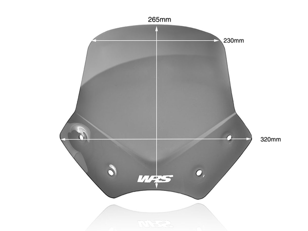 Wscrn Sport R1200R Dsmk | 8185245696266