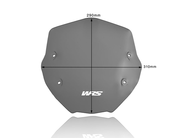 Wscrn Sport R1250R Dsmk | 8185250906378