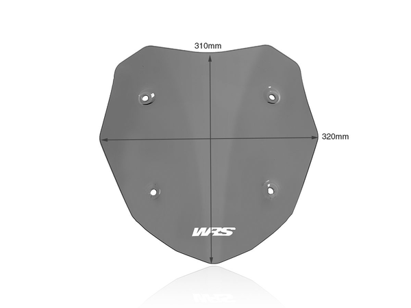Wscrn Sport F900Xr Dsmk | 8185252020490