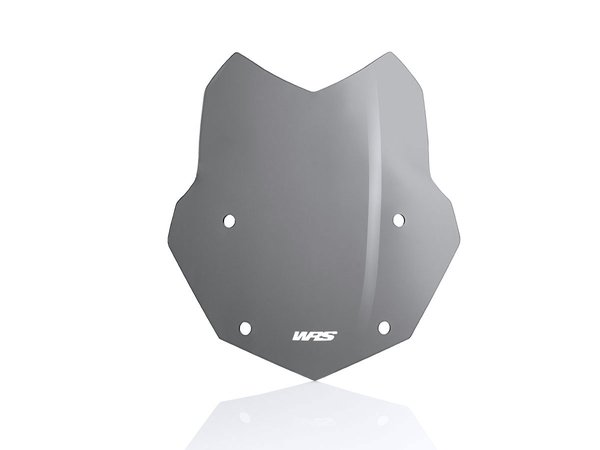 Wscrn Stndrd R1250Gs Dsmk | 8185242714378