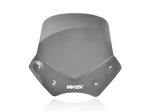Wscrn Sport R1200R Dsmk | 8185245696266