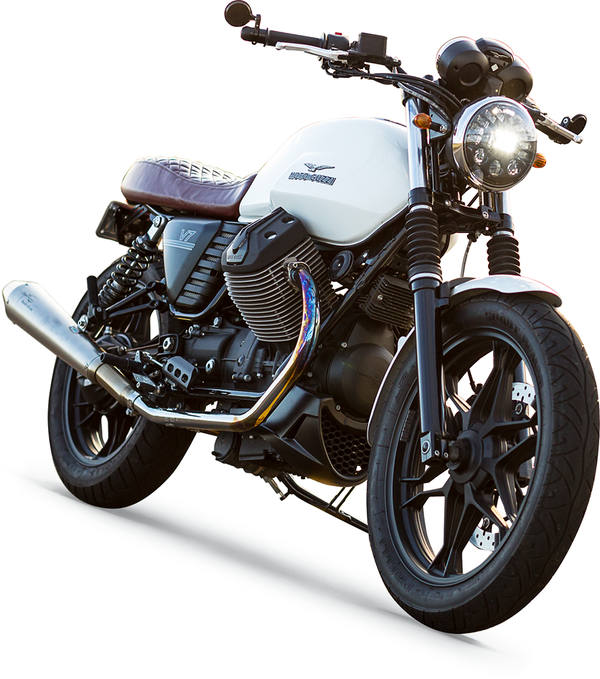 Mount Headlight Mogu Chr | 8185491915018