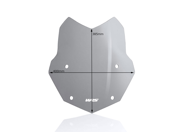 Wscrn Stndrd R1250Gs Smk | 8185242681610