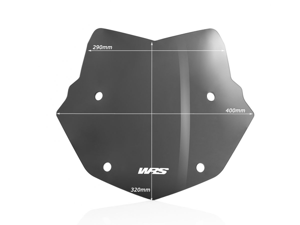 Wscrn Enduro R1250Gs Dsmk | 8185238651146