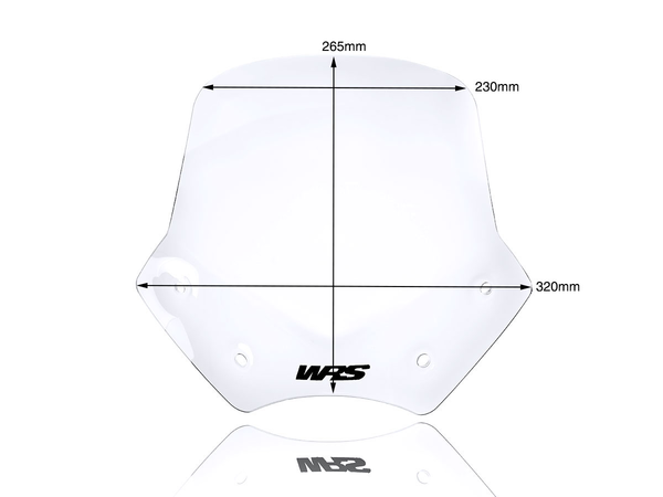 Wscrn Sport R1200R Clear | 8185245466890