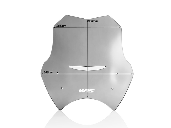 Wscrn Sport R1150R Smoke | 8185240060170