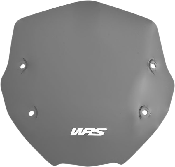 Wscrn Sport R1250R Dsmk | 8185250906378