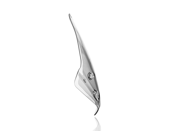 Wscrn Tour R1250R Clear | 8185250447626