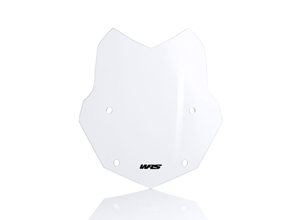 Wscrn Stndrd R1250Gs Clr | 8185242419466