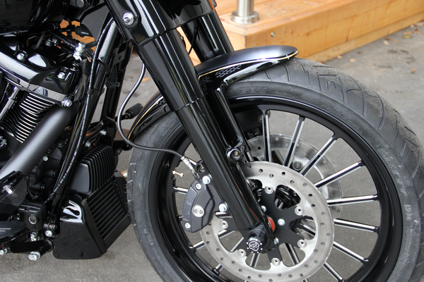 Fr Fender Custom 21" Raw | 8185907282186