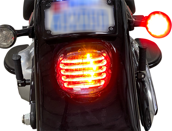 Taillight W/Ts Bwdw Rlens | 8185535791370