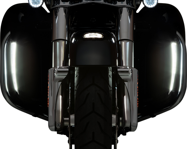 Lights Fang Lwr Frng Chr | 8185652642058