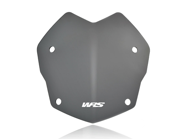 Wscrn Rallye R1250Gs Dsmk | 8185244942602