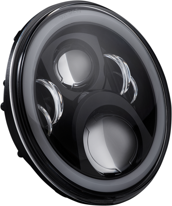 Headlamp 7 Led Halo Blk | 8185483559178