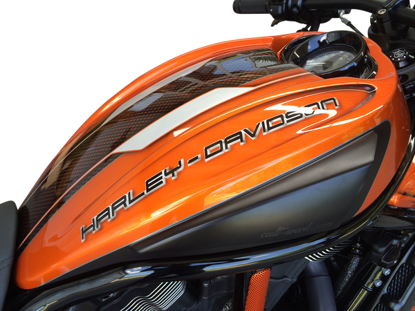 Airbox Cover Special Vrod | 8186124239114