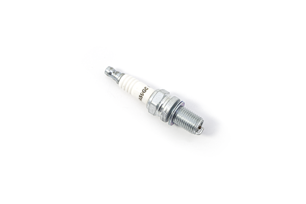 Champion S-Plug Ra59Gc | 8187050557706
