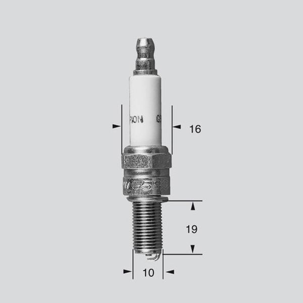 Champion S-Plug Hd Rg6Hcc | 8187050492170